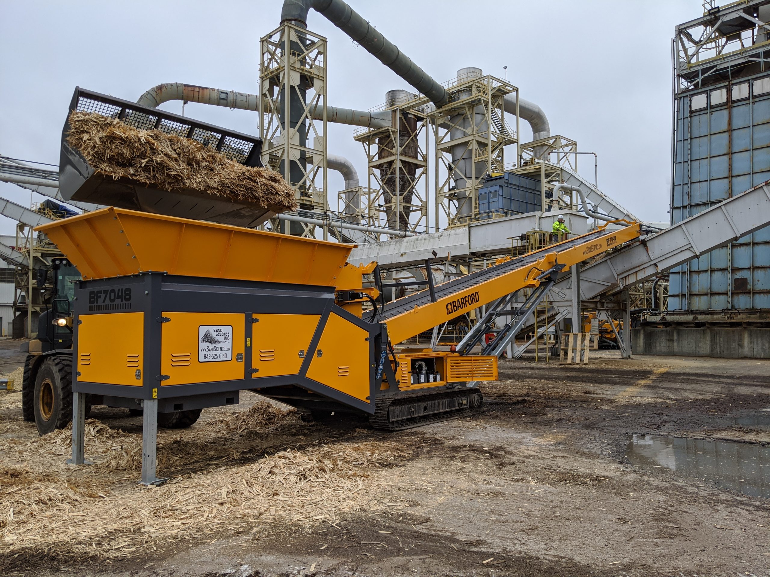 BF7048 - Paper Plant (1) Photo of the Barford BF7048